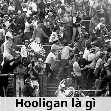 Hooligan là gì – Thông tin chi tiết về Hooligan cần nắm rõ
